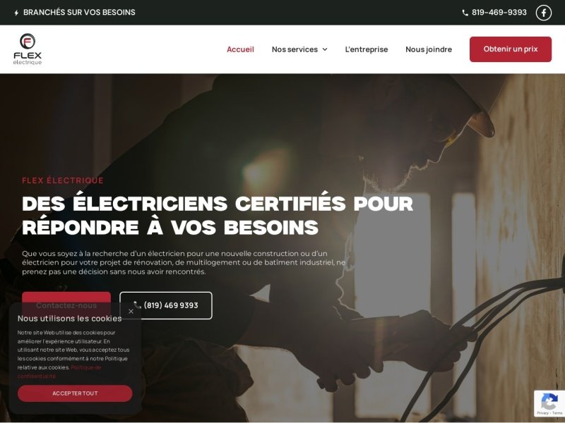 Aperçu de Flex électrique