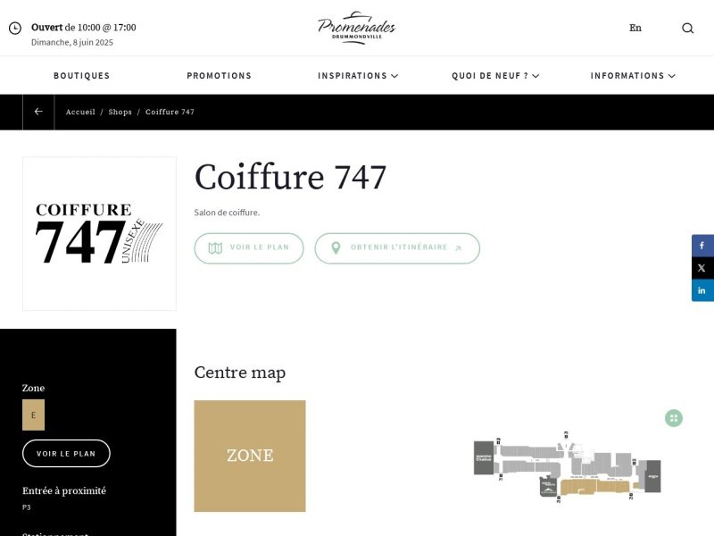 Aperçu de Coiffure 747