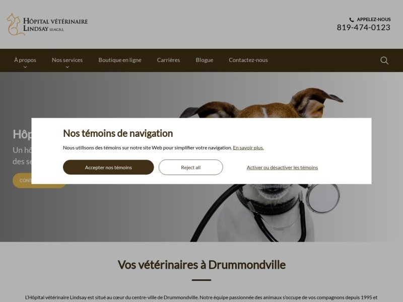 Aperçu de Hôpital Vétérinaire Lindsay