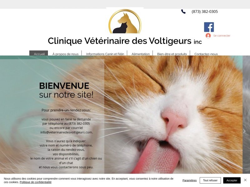 Aperçu de Clinique Vétérinaire des Voltigeurs | Consultation, Toilettage & Nourriture | Canin & Félin | Région de Centre-du-Québec