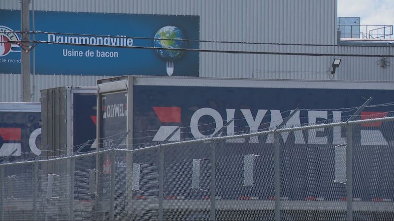 Trente travailleurs étrangers dans l'impasse chez Olymel à Drummondville