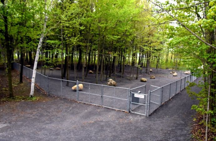 Nouvelles heures au parc canin  : les aboiements dérangent, les chiens devront-ils bientôt être munis de ‘’tuyaux d’é’jappement’’ à Saint-Germain-de-Grantham