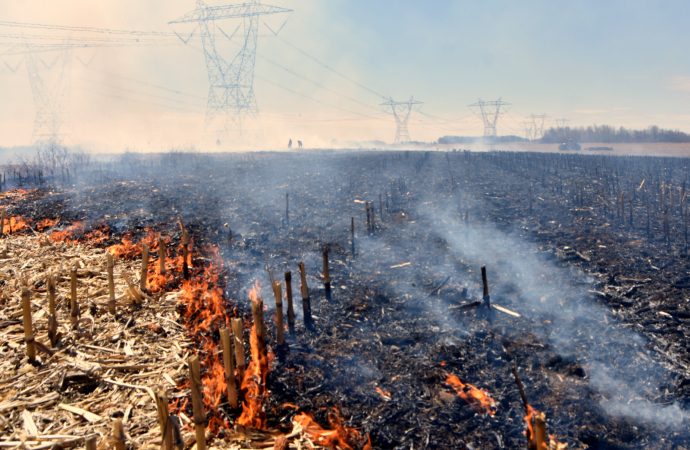Feu de champ à Wickham : plusieurs équipements agricoles endommagés par les flammes